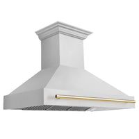 Thumbnail for Z-line Range Hoods model 8654STZ-48-G